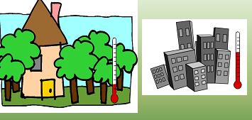 Ρ ο ή ε ν έ ρ γ ε ι α ς Στο δάσος υπάρχει ένα σύνολο από δέντρα, θάμνους και άλλα φυτά που αλληλεπιδρούν με το βιότοπο* και δημιουργούν ένα ξεχωριστό περιβάλλον στο οποίο ζουν και αναπτύσσονται ζώα
