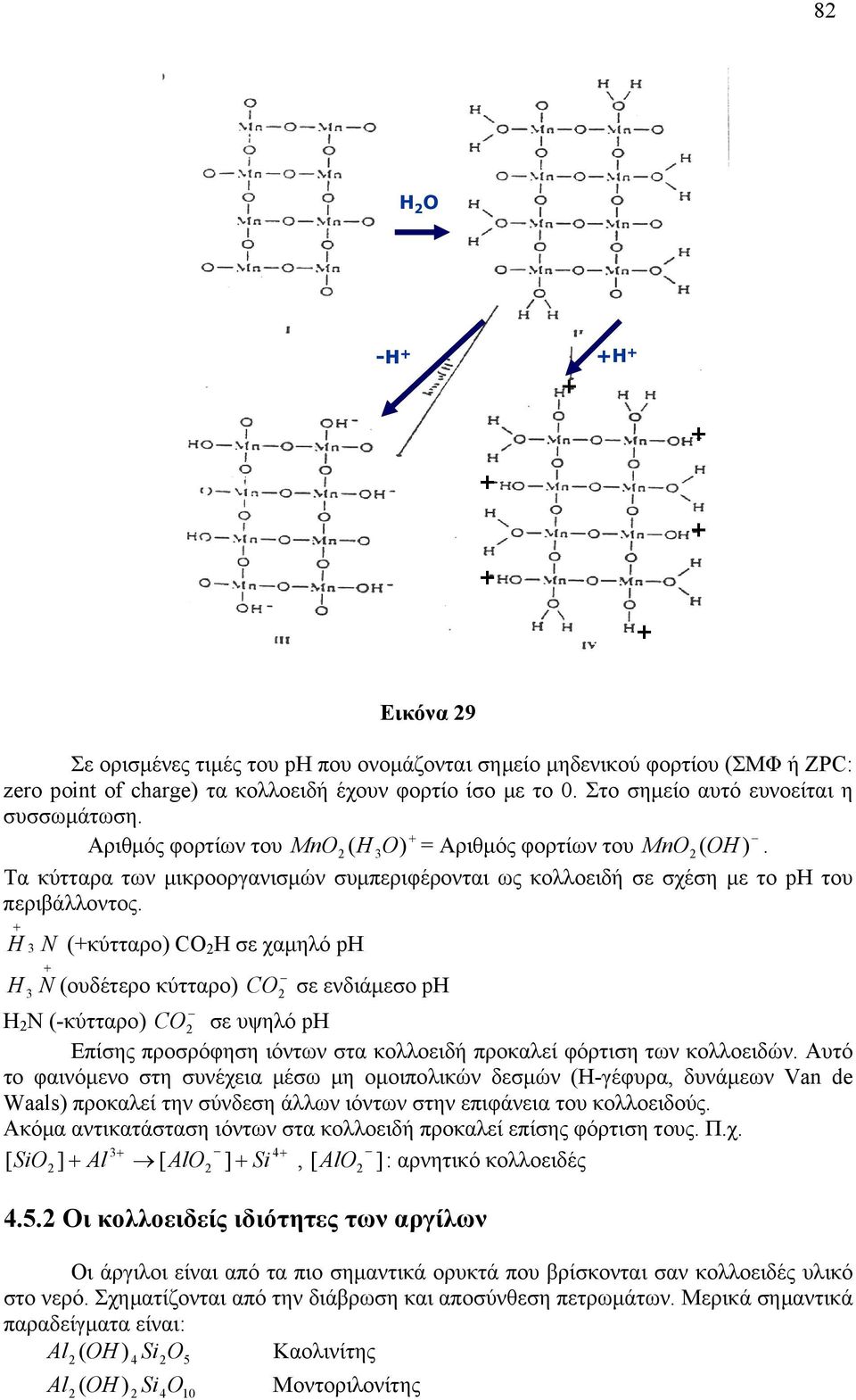 H 3 N (κύτταρο) CO H σε χαµηλό ph H 3 N (ουδέτερο κύτταρο) CO σε ενδιάµεσο ph H N (-κύτταρο) CO σε υψηλό ph Επίσης προσρόφηση ιόντων στα κολλοειδή προκαλεί φόρτιση των κολλοειδών.