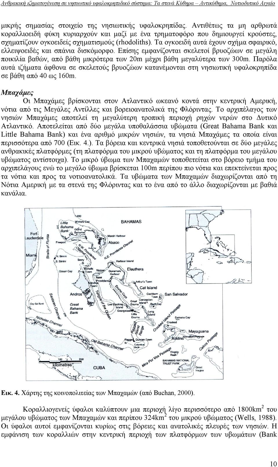 Τα ογκοειδή αυτά έχουν σχήµα σφαιρικό, ελλειψοειδές και σπάνια δισκόµορφο. Επίσης εµφανίζονται σκελετοί βρυοζώων σε µεγάλη ποικιλία βαθών, από βάθη µικρότερα των 20m µέχρι βάθη µεγαλύτερα των 300m.