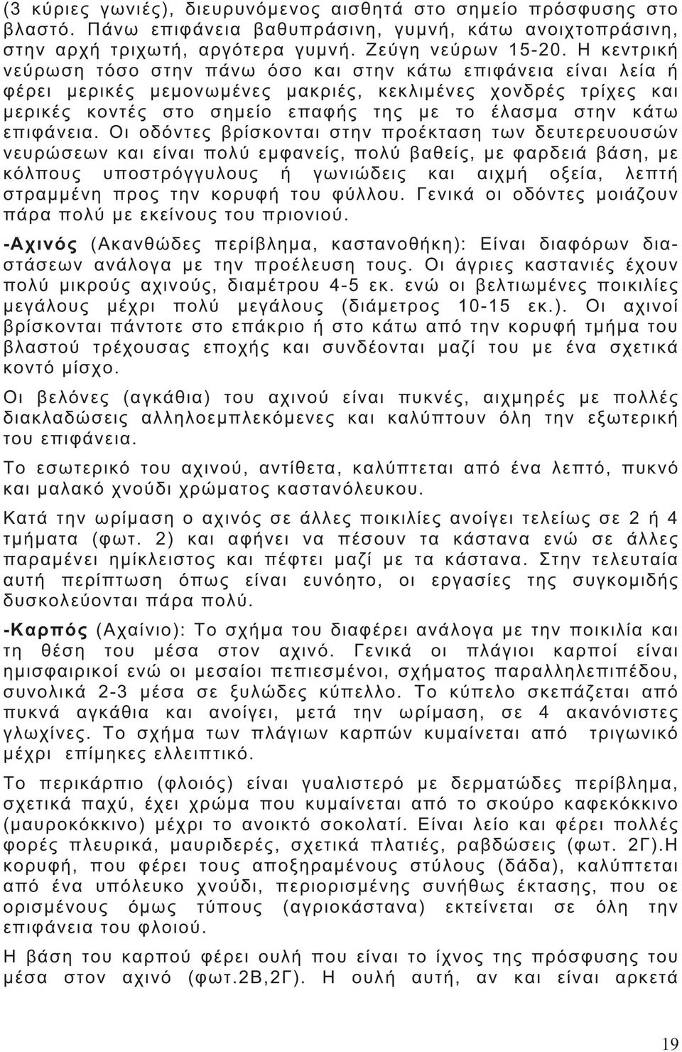 2).,. - ( ):.,, 2-3.,, 4.. ( ),, ( ).