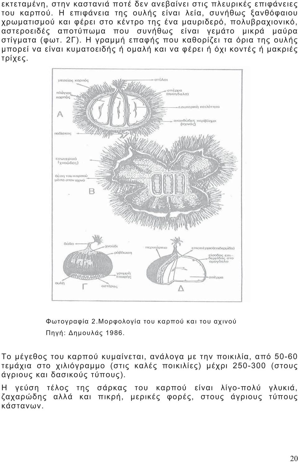 ,, 50-60 ( )