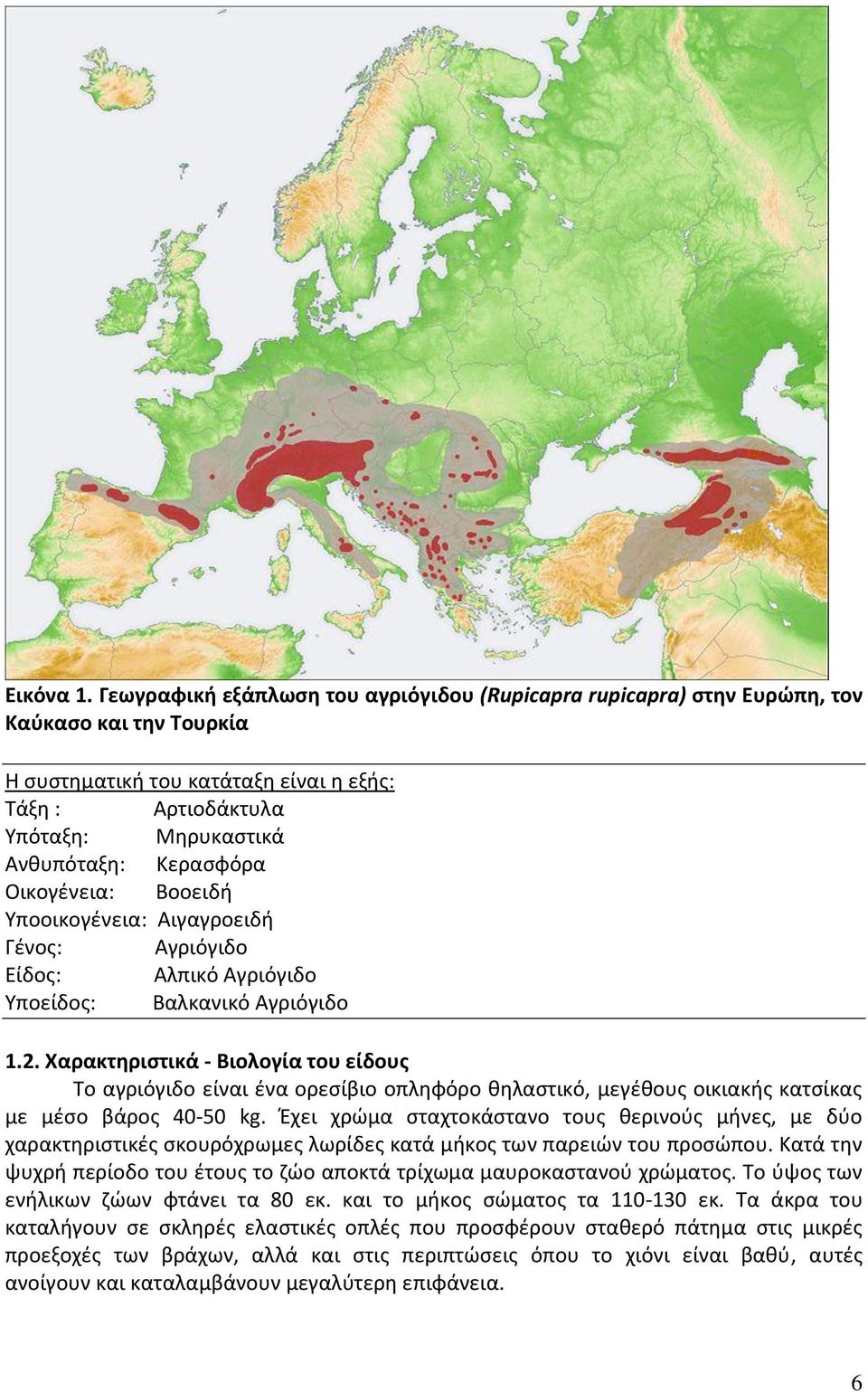 Κερασφόρα Οικογένεια: Βοοειδή Υποοικογένεια: Αιγαγροειδή Γένος: Αγριόγιδο Είδος: Αλπικό Αγριόγιδο Υποείδος: Βαλκανικό Αγριόγιδο 1.2.