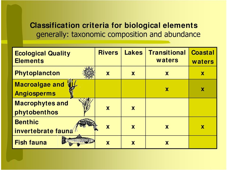 Transitional waters Coastal waters Phytoplancton x x x x Macroalgae and