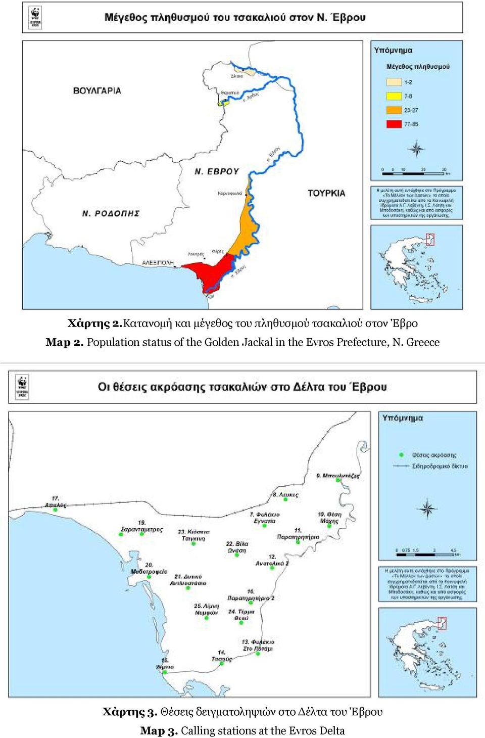 2. Population status of the Golden Jackal in the Evros
