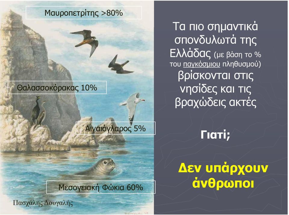 πληθυσμού) βρίσκονται στις νησίδες και τις βραχώδεις ακτές