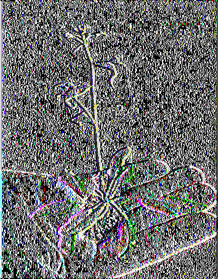\Ί Α.Τ.Ε.