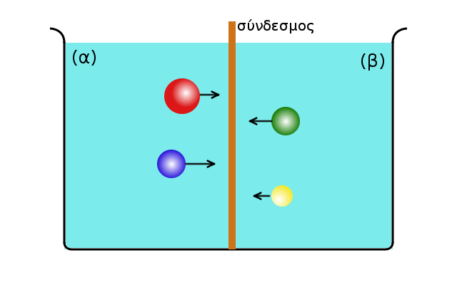 Κεφάλαιο 5. Το δυναμικό του ηλεκτροδίου στην ισορροπία Σχήμα 5.2: Δύο ηλεκτρολυτικά διαλύματα (α) και (β) διαχωρισμένα από πορώδες διάφραγμα (σύνδεσμο).