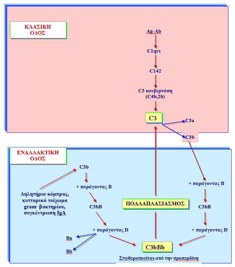 ΚΛΑΣΙΚΗ ΚΑΙ