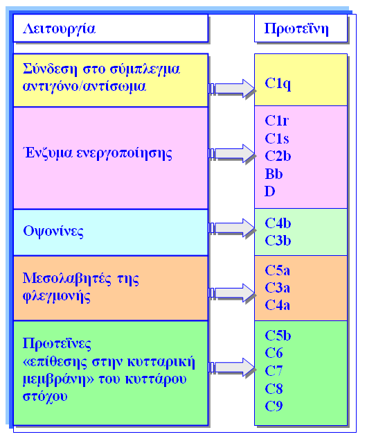 ΠΡΩΤΕΪΝΕΣ ΤΟΥ