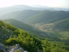 Τα αυτόχθονα ορεινά δασικά εδάφη της Ελλάδας
