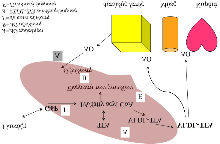 Σχήμα Α.