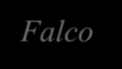 Study species IUCN List: Eleonora's Falcon Falco eleonorae Migratory, breeds in Mediterranean, winters in Madagascar and Indian Ocean International Species Action Plan (1999): 6.250 p global, 4.