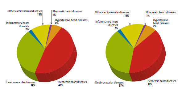 άνδρες και γυναίκες και, τέλος, κατά 1% ξεπερνάνε οι θάνατοι των γυναικών από υπερτασικές καρδιοπάθειες (7%) συγκριτικά με τους άνδρες (6%) (Εικόνα5). Εικόνα 5.