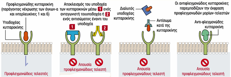 Ρευματοειδής αρθρίτιδα Θεραπευτικές