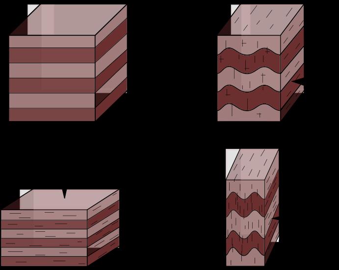 2. Pencil Cleavage Ο σχισμός αυτός αναπτύσσεται όταν στην παραμόρφωση από συμπύκνωση προστίθεται και τεκτονική παραμόρφωση (οριζόντιος σ 1 ) με περίπου ίδιο μέγεθος (άρα εν μέρει τεκτονικός).