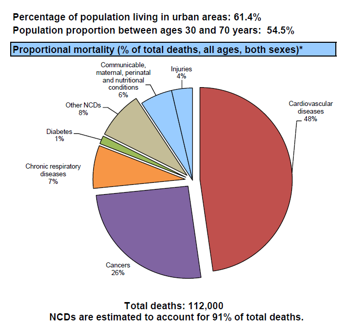 ΜΗ ΜΕΤΑΔΟΤΙΚΑ ΝΟΣΗΜΑΤΑ GR World Health Organization -
