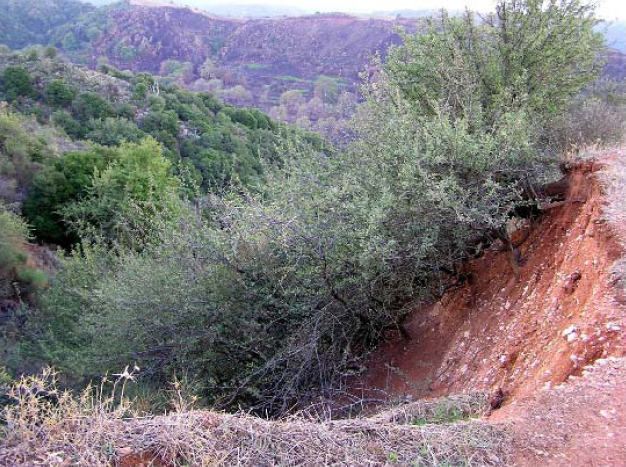 Θα πρέπει, λοιπόν, να γίνει λεπτομερής μελέτη στην περιοχή του Αντρωνίου με στόχο την αντιμετώπιση των κατολισθητικών φαινομένων.