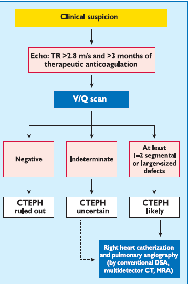 Διαγνωστικός αλγόριθμος Diagnosis of CTEPH 3 months of effective anticoagulation mean PAP 25mmHg with PAWP 15 mmhg mismatched