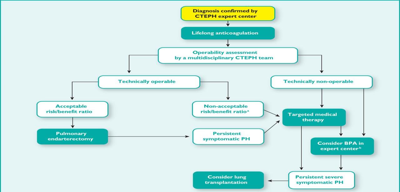Pulmonary Endarterectomy (PEA) Τα κριτήρια επιλογής ασθενών για χειρουργική αντιμετώπιση είναι α) δύσπνοια κατά ΝΥΗΑ κατηγορίας ΙΙΙ ή IV β) προσπελάσιμος χειρουργικά θρόμβος στους κύριους λοβαίους ή