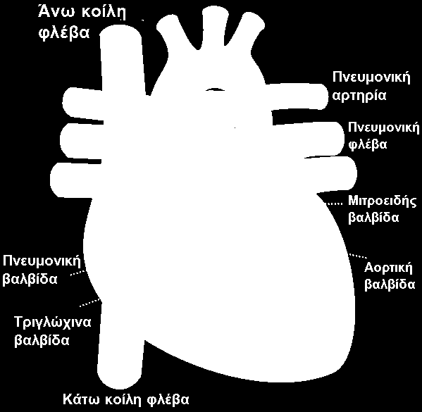ΚΕΦΑΛΑΙΟ 2 Τεχνικές ανίχνευσης QRS συμπλέγματος του κατά τη διάρκεια της καρδιακής συστολής.