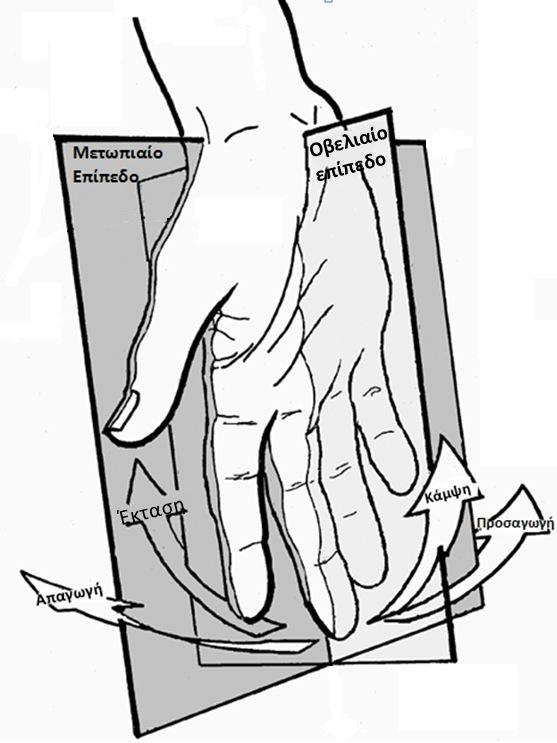 Εικόνα 1.3.1 Οι ονομασίες των δαχτύλων του ανθρώπινου χεριού Εικόνα 1.3.2 Οι κινήσεις των δαχτύλων και τα επίπεδα της παλάμης Εικόνα 1.