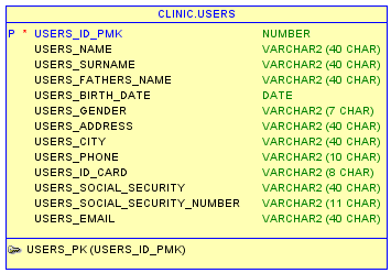 Εικόνα 27 Πίνακας USERS Ο πίνακας USERS (εικόνα 27) αποτελείται από τα ακόλουθα πεδία: USERS_ID_PMK: Αύξων αριθμός και πρωτεύον κλειδί του πίνακα. USERS_NAME: Όνομα χρήστη.