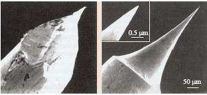 cut STM tip (left) and an