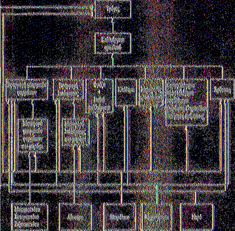 7.3.2 Διαγράμματα ροής Μ άζας και Ενέργειας Ακολουθώντας την διαδικασία ανάλυσης του κύκλου ζωής, στα παρακάτω σχήματα παρατηρούμε το διάγραμμα ροής του υποσυστήματος παραγωγής σταφυλιών (Σχήμα 7.
