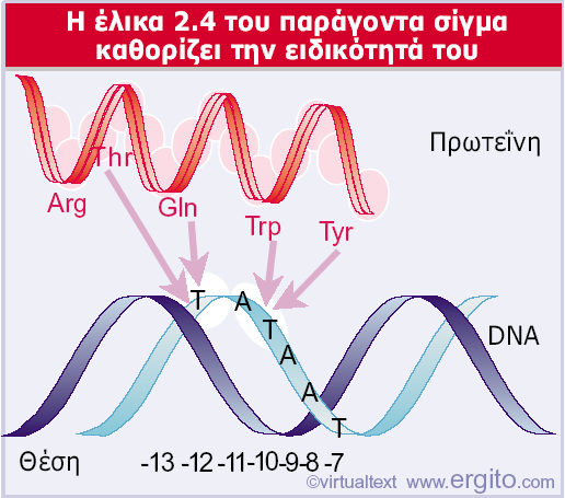 Genes VIII - Ακαδημαϊκές