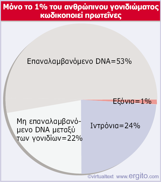 Genes VIII - Ακαδημαϊκές Εκδόσεις 2004 Εικόνα 3.
