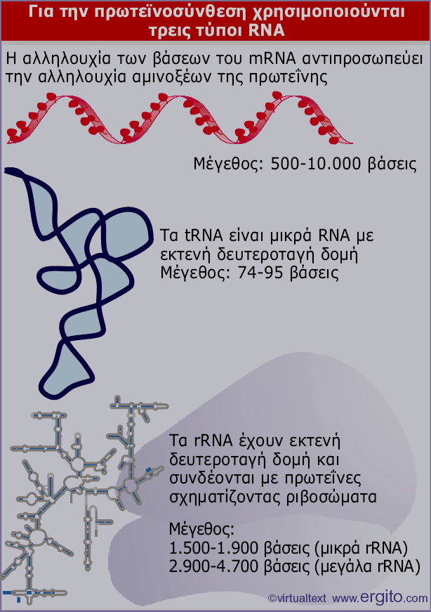 Εικόνα 5.