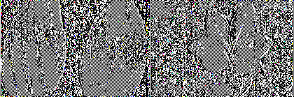 Σε μέσης μέχρι ελαφράς αμμώδους σύστασης εδάφη προσθέτουμε το Φθινόπωρο ή στις αρχές Ανοιξης 300-500 γρμ. θειικού ψευδαργύρου ανά 40 κιλά καρπό. Τα αποτελέσματα αργούν να φανούν (2-3χρον.