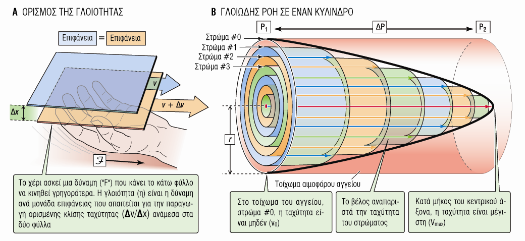 Γλοιότητα(η) n= διατμητική