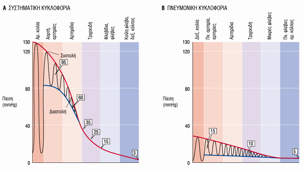 7. Διάγραμμα πίεσης στην συστηματική