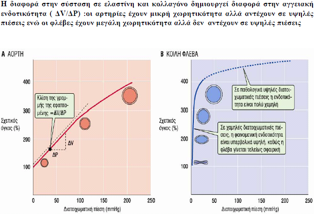 Ελαστικές