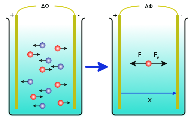 Σχήμα 1: Κίνηση των ιόντων υπό την επίδραση ηλεκτρικού πεδίου όπου φ(x) το ηλεκτρικό δυναμικό στο σημείο x.