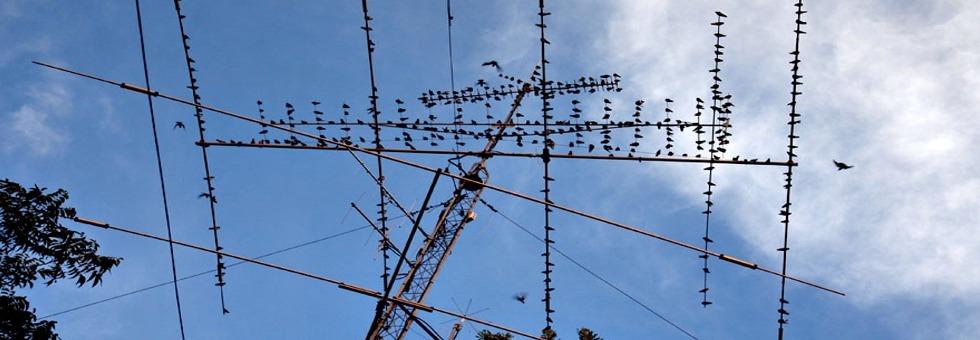 2 Έτσι, επτά μόλις χρόνια μετά την ανακάλυψη των ραδιοκυμάτων από τον Χάινριχ Χερτζ, καταφέρνει τα πρώτα επιτυχή πειράματά του στην ασύρματη τηλεγραφία που έγιναν στην Μπολόνια το 1895, και το 1899