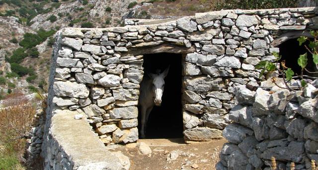 Λούτσες 10. Οριζόντιες γεωτρήσεις 11. Δρόμοι μονοπάτια 12. Στέγαστρα 13. Στάβλοι 14. Οικήματα βοσκών 15.