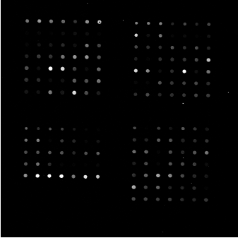 πείραμα cdna Microarray Ανάγνωση της μικροσυστοιχίας.