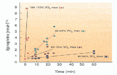 Φυσιολογικές τιμές ΚΑΤ Ε ~ 0.4 ng/ml NE ~ 1.5 ng/ml Πολύ μεγαλύτερη συγκέντρωση ΝΕ στο πλάσμα επειδή λειτουργεί και σαν νευροδιαβιβαστής και εκκρίνεται από τις απολήξεις νεύρων.