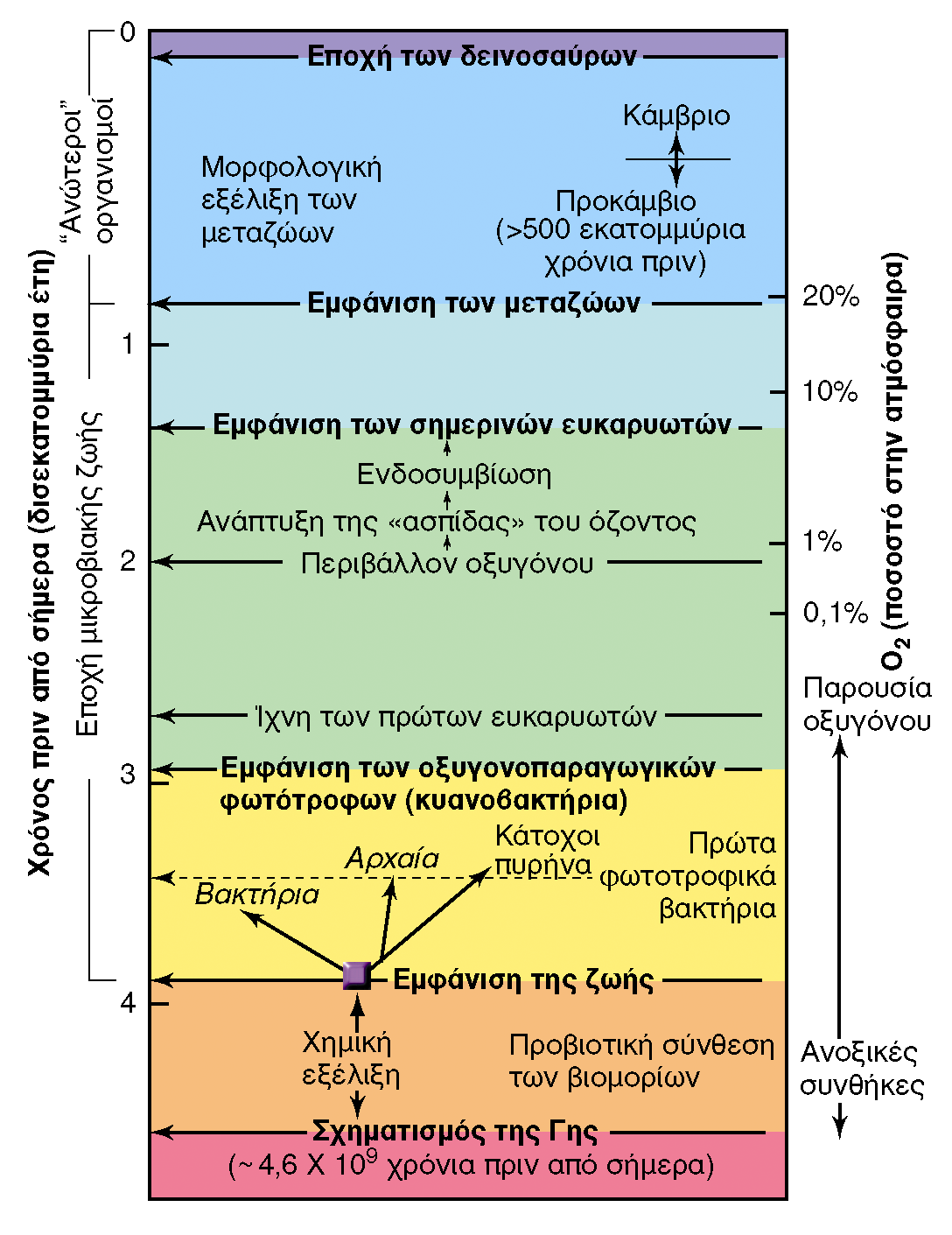 BIOΛOΓIA TΩN MIKPOOPΓANIΣMΩN ΠANEΠIΣTHMIAKEΣ