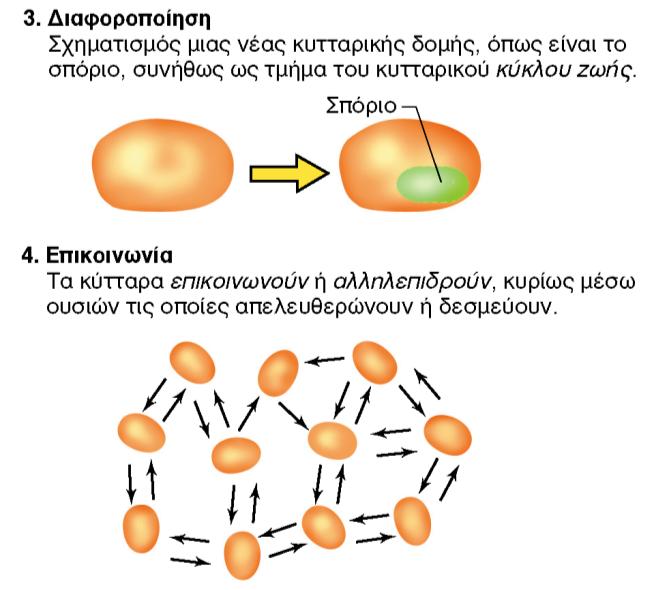 BIOΛOΓIA TΩN MIKPOOPΓANIΣMΩN