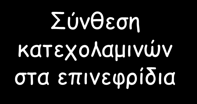 β-αποκαρβοξυλάση D.