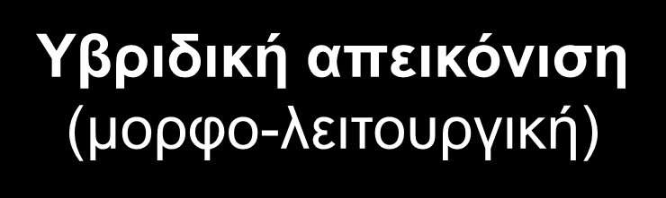 Υβριδική απεικόνιση