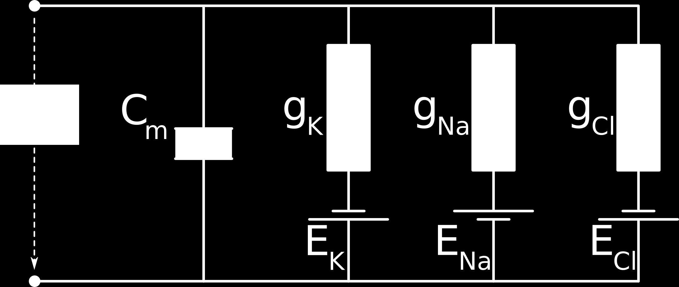Aplicatie calculul tensiunii electromotoare a membranei celulare E m = E K R K E