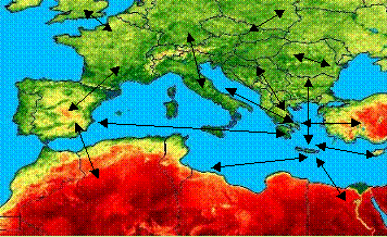 ΑΓΝΩΣΤΑ ΣΤΟΙΧΕΙΑ ΓΙΑ ΤΗ ΡΙΓΑΝΗ Επιμέλεια & συγγραφή κειμένου: Τραντάς Μάνος Η Ελλάδα συγκρινόμενη με τις υπόλοιπες χώρες του περίγυρού της βρίσκεται σε πλεονεκτικότερη θέση.