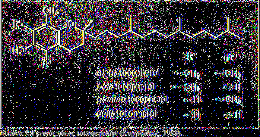 τοκοφερόλη καν την δ-τοκοφερόλη, ενώ οι τοκοτριενόλες διακρίνονται στις α-,β-,γ- και δ-τοκοτριενόλη (Εικόνα 9).