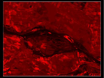 NDVI Pseudo SAR True user: expert, public and private