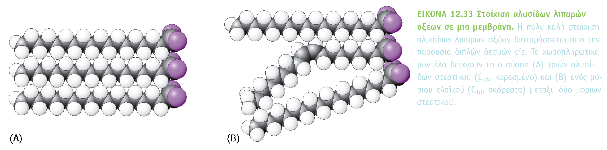 BIOXHMEIA, TOMOΣ I