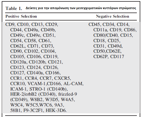 Πίνακας 1 Θετική επιλογή Αρνητική επιλογή Πίνακας 2. Δείκτες για την απομόνωση των μεσεγχυματικών κυττάρων στρώματος [31].